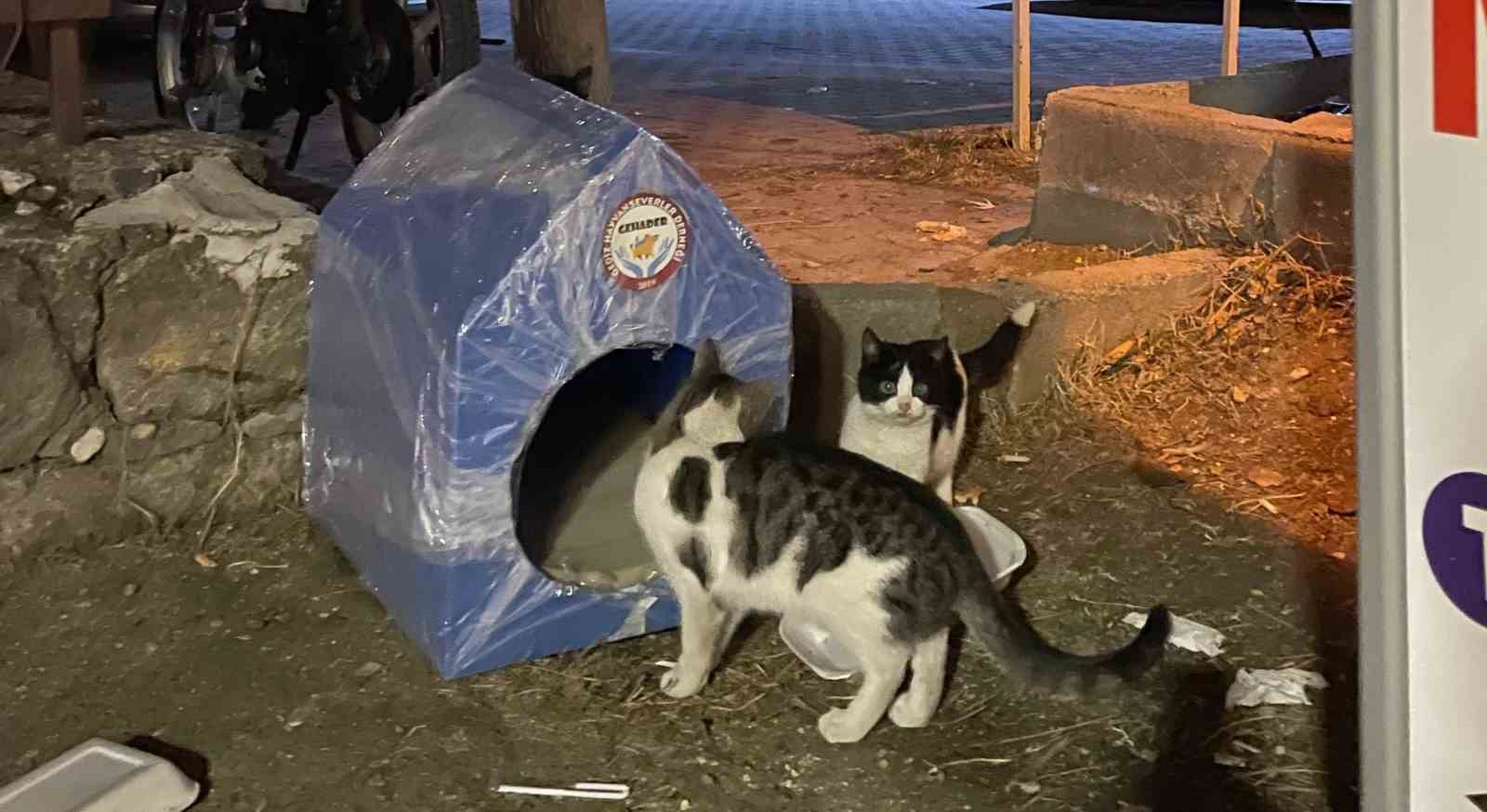 Gediz&rsquo;de sokak hayvanları i&ccedil;in yuva

