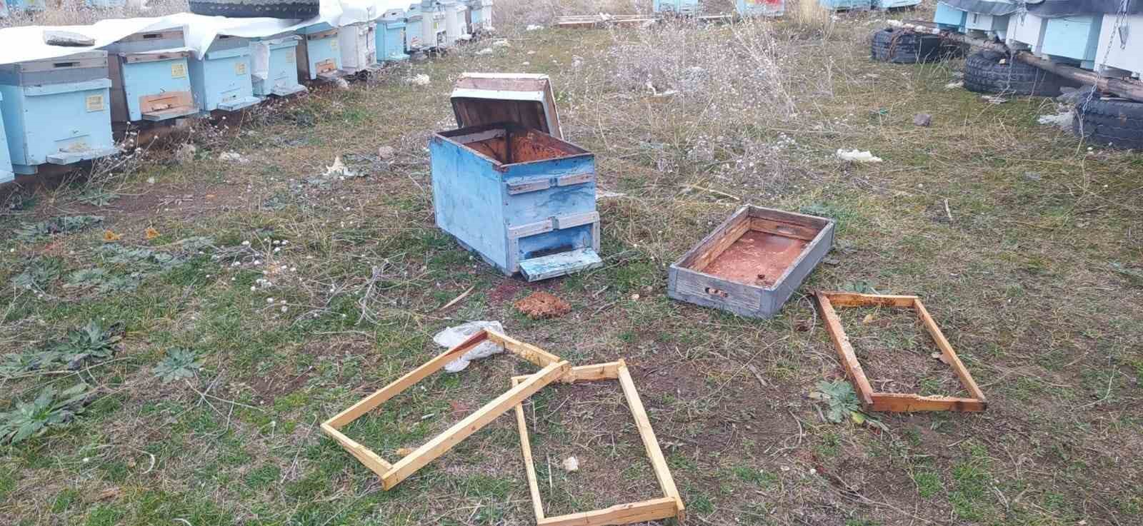 Muradiye&rsquo;de ayılar kovanlara ve k&uuml;mes hayvanlarına saldırdı
