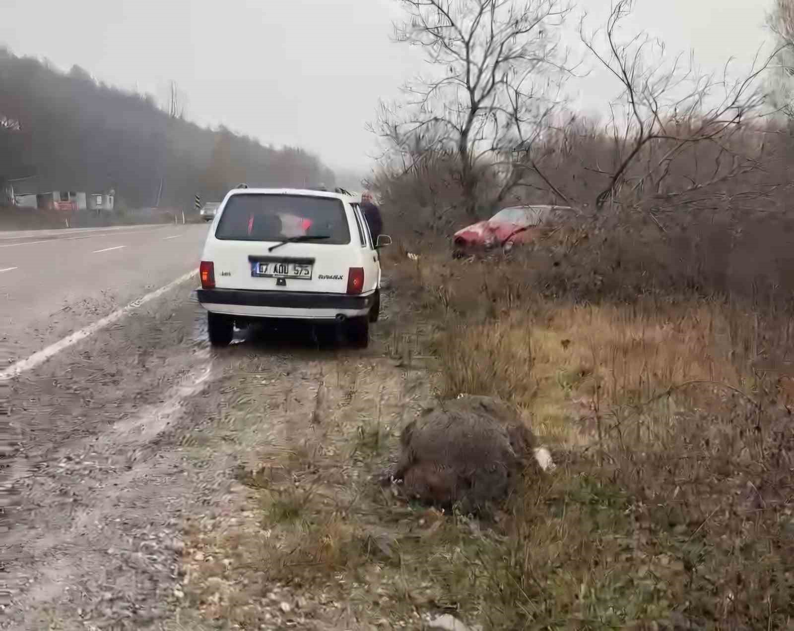 Bartın’da otomobil domuza çarptı: Sürücü yaralandı
