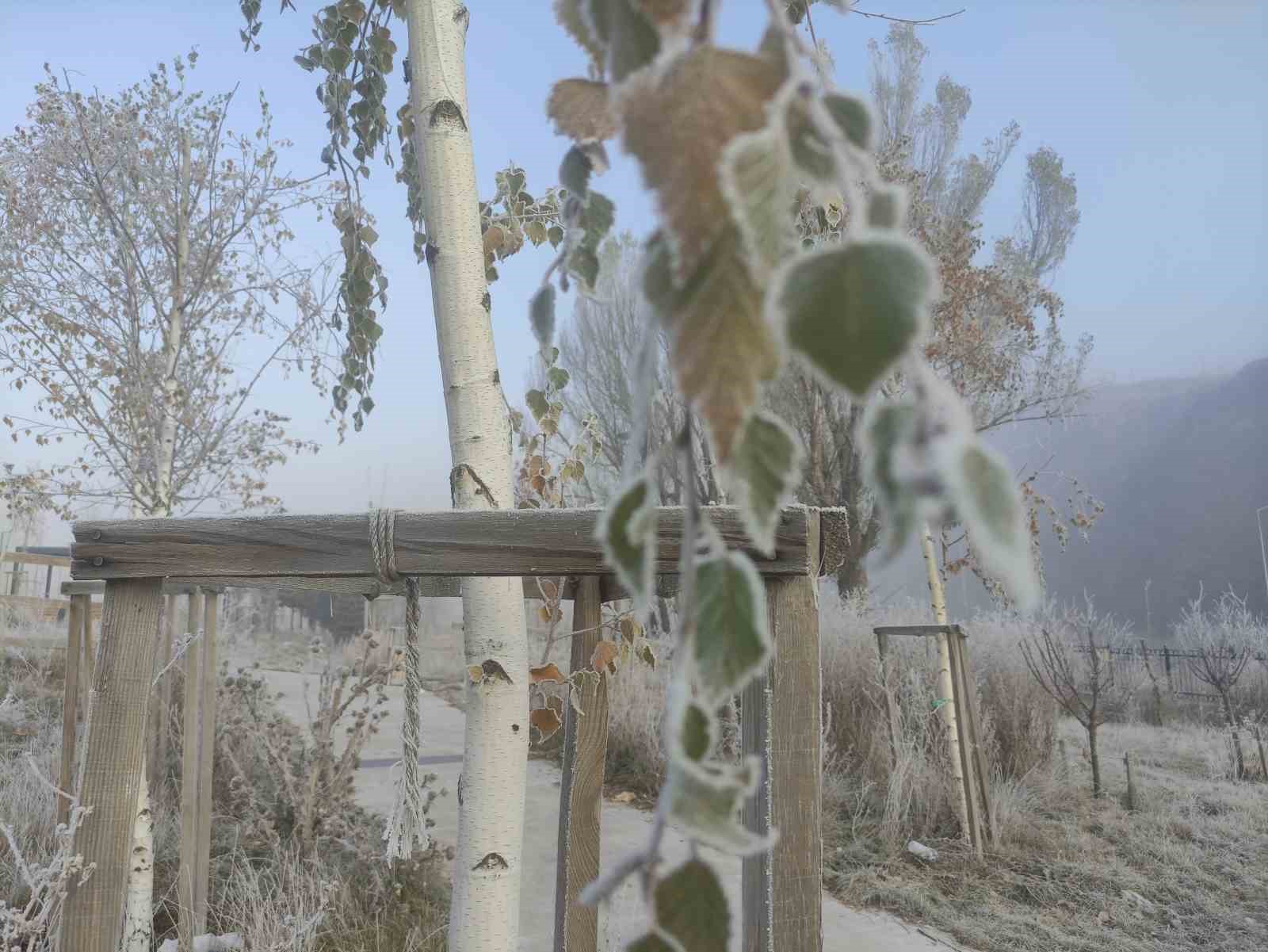 Ardahan’da Sibirya soğukları etkili oluyor