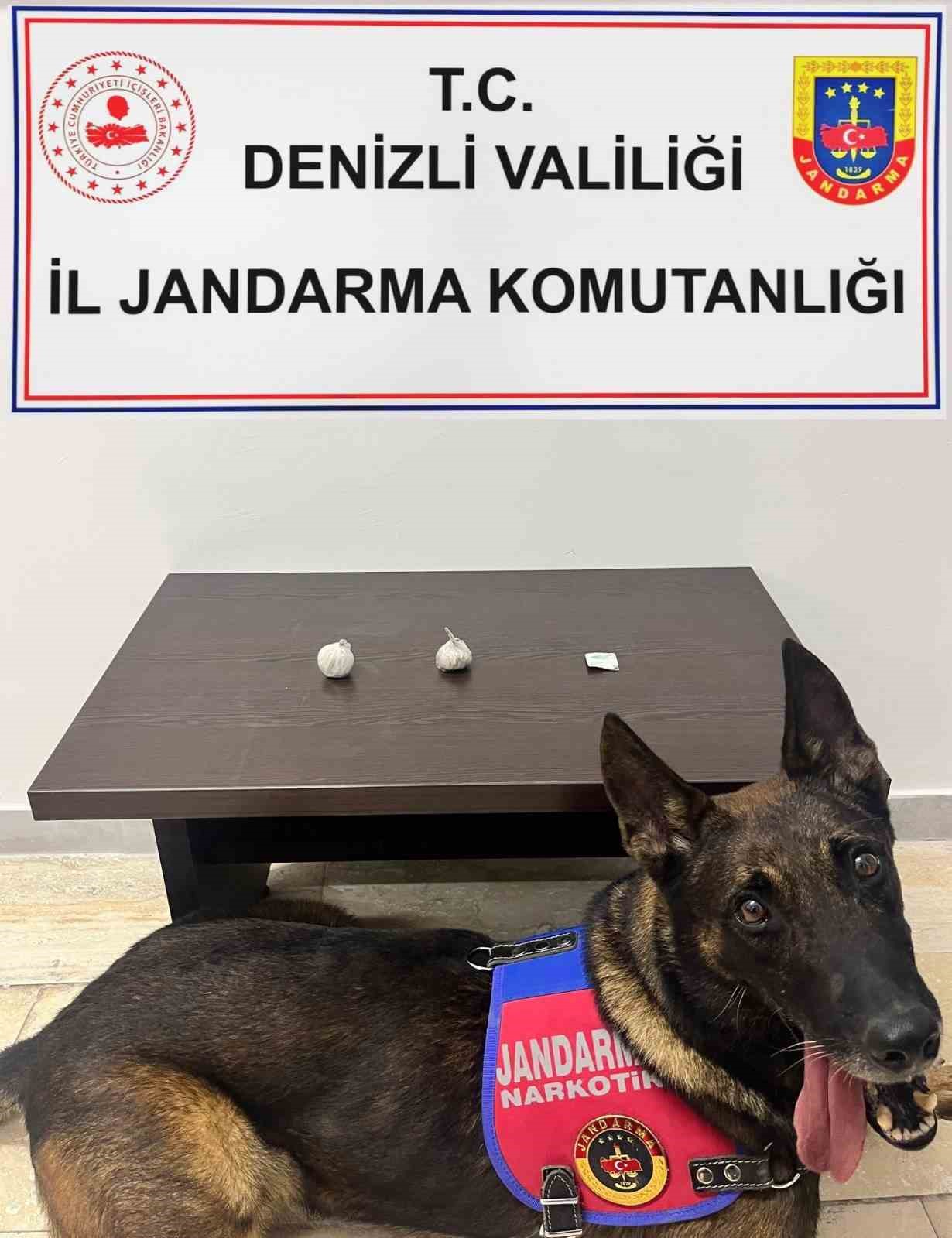 Kapıya gizlenen uyuşturucu narkotik k&ouml;peğinden ka&ccedil;madı

