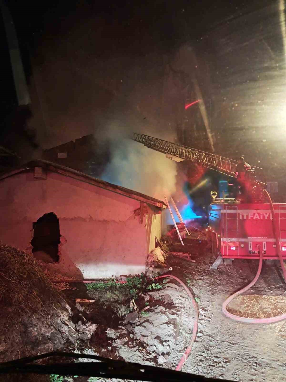 Sinop’ta yangın: 5 büyükbaş hayvan telef oldu