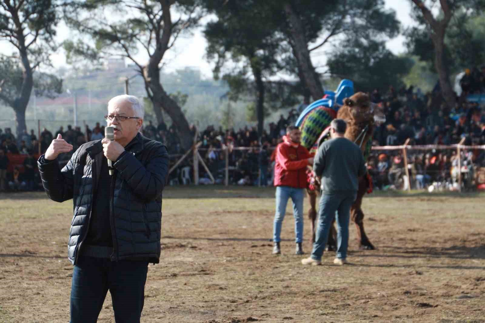 Pelitköy deve güreşleri için geri sayım başladı
