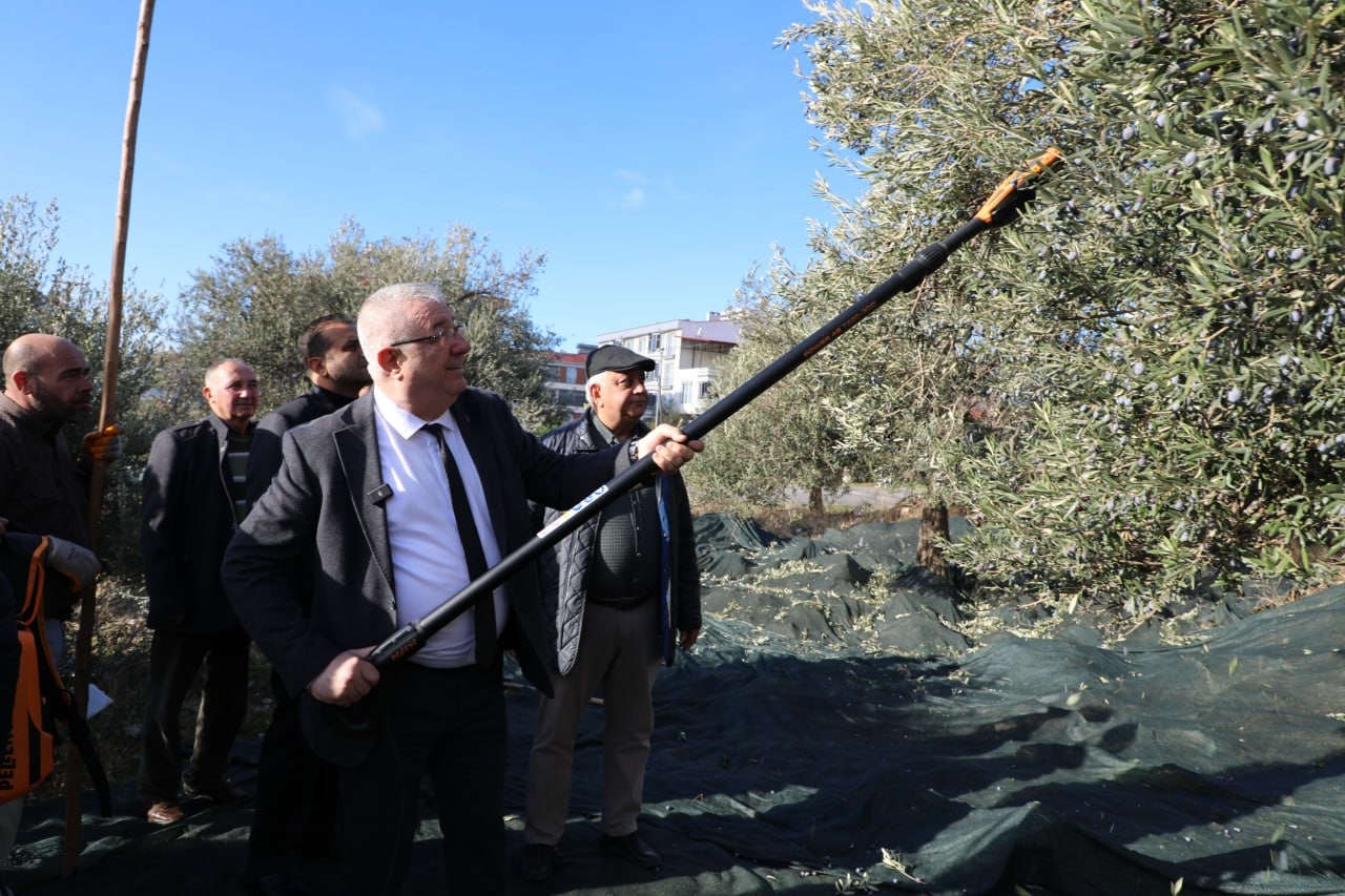 Edremit Belediye Başkanı Mehmet Ertaş “Tek bir zeytin tanesi heba olmuyor”
