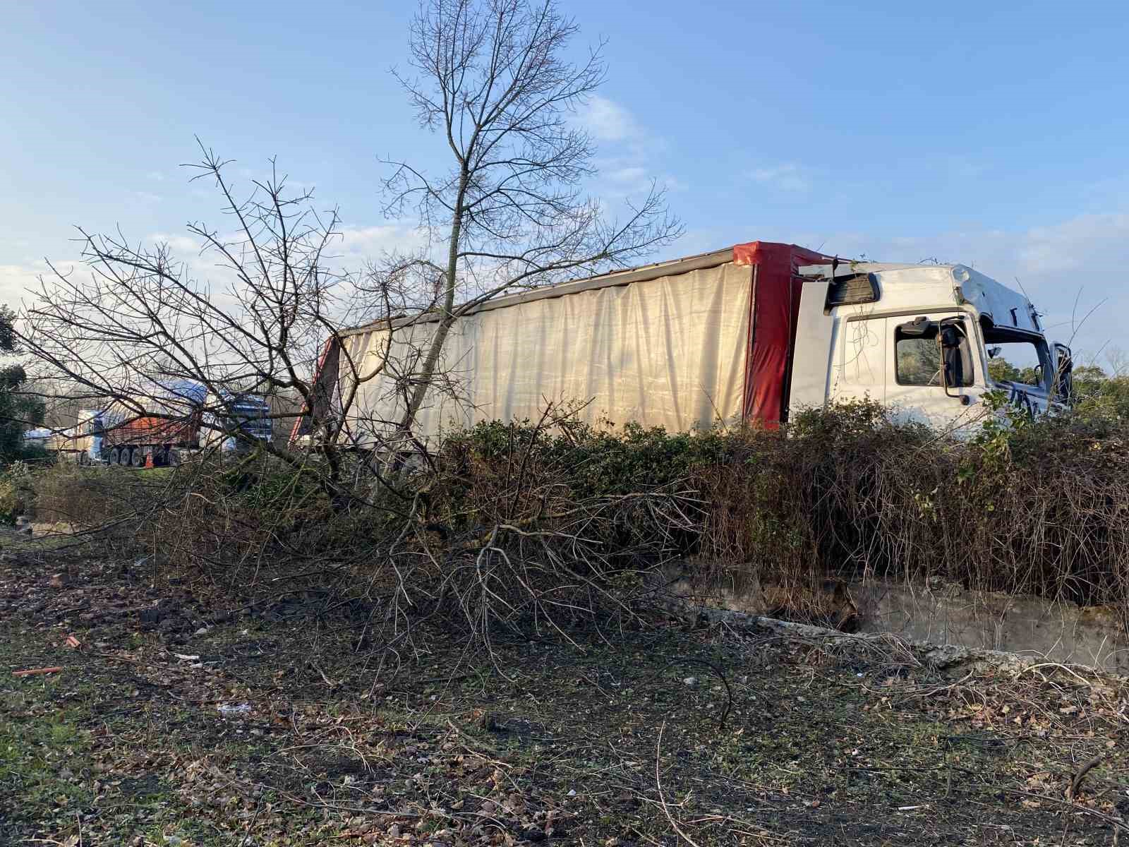 Yoldan çıkan tır, ağaçlık alana uçtu
