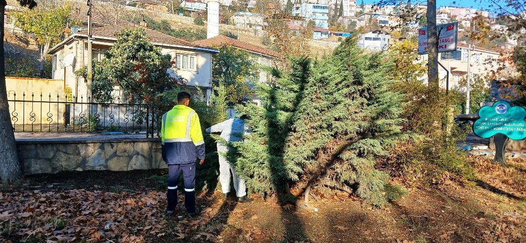 Park ve bahçelerde kış bakım çalışmaları
