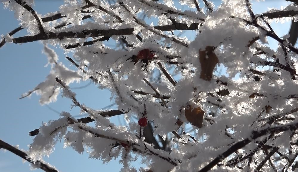 Kırağı tutan ağa&ccedil;lar kartpostallık g&ouml;r&uuml;nt&uuml;ler oluşturdu
