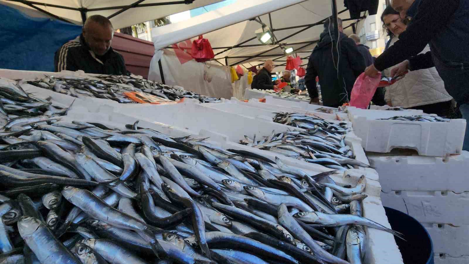 Hamsi Zonguldak’ta tezgahları şenlendiriyor
