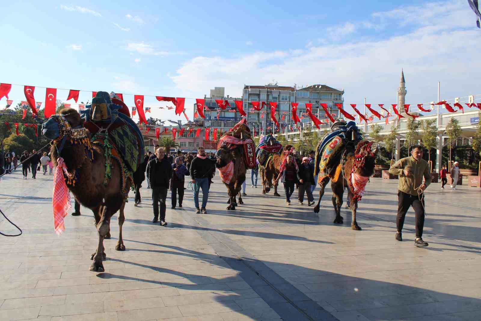 Görücüye çıkan develer ilginç görüntülere sahne oldu
