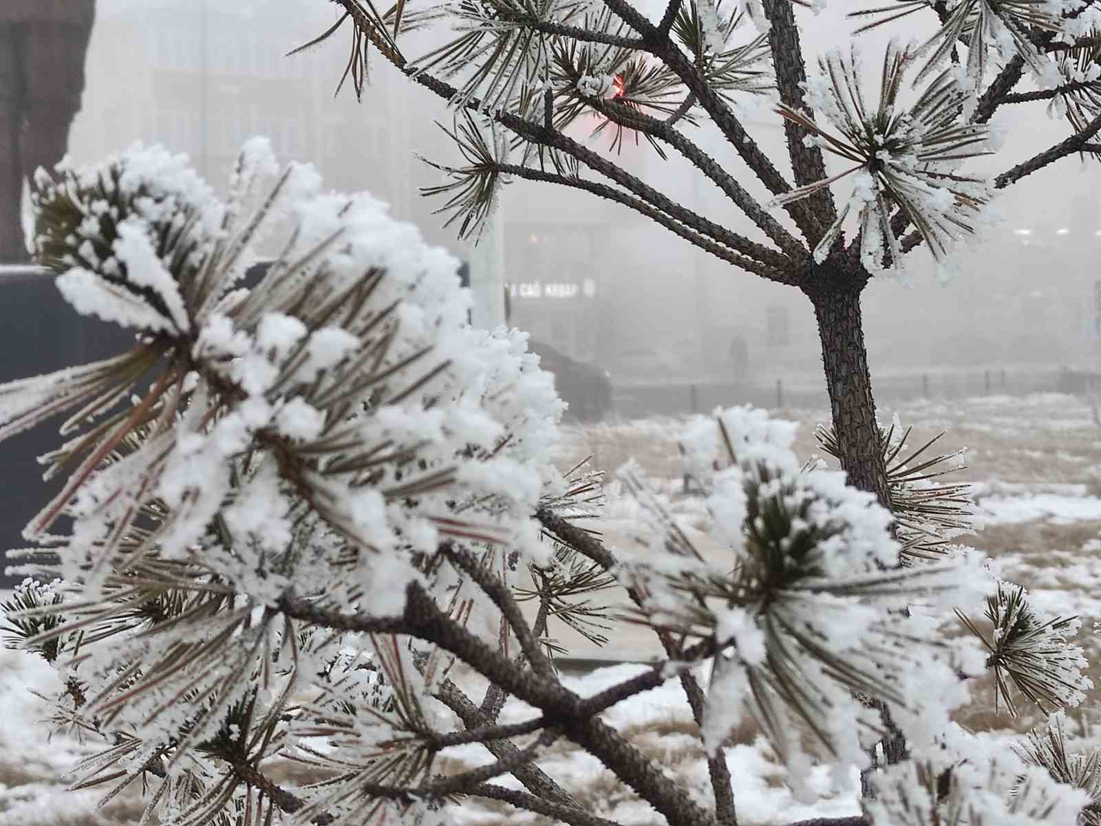 Ardahan&rsquo;da soğuk hava ve sis hayatı olumsuz etkiliyor
