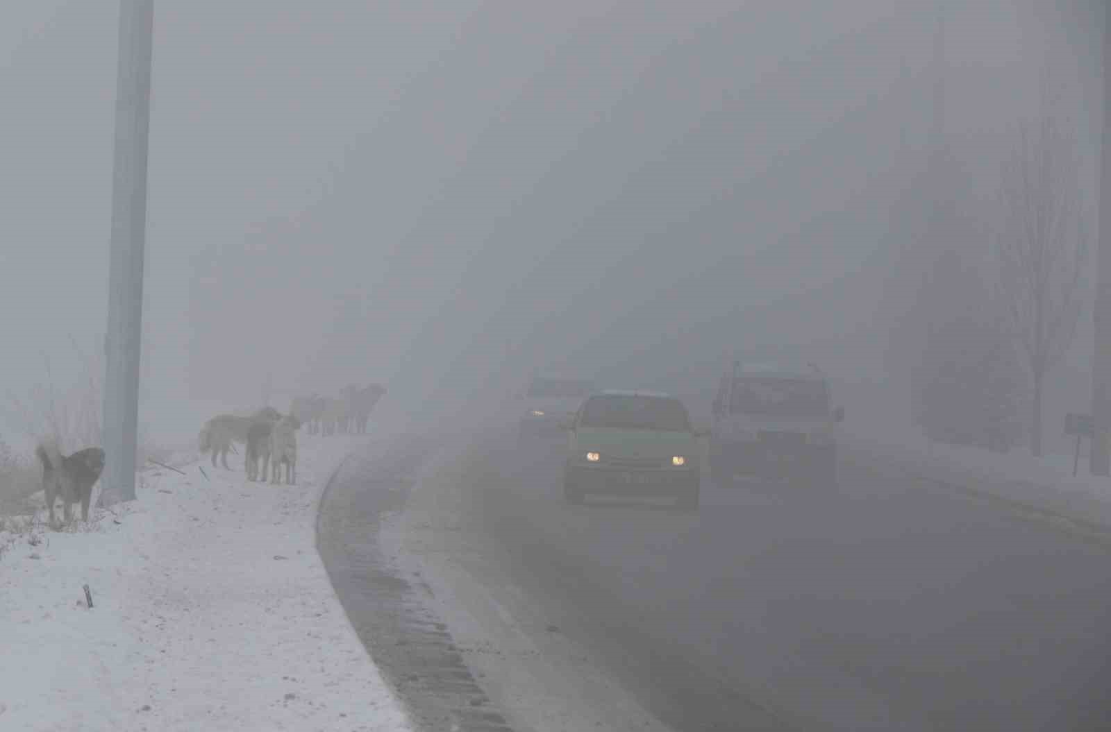 Erzincan g&uuml;ne sisle uyandı
