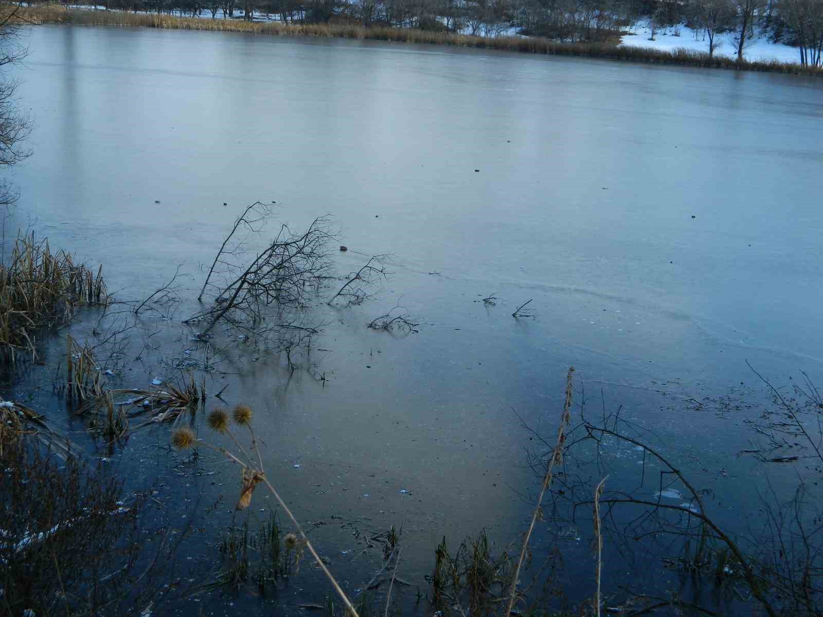 Posof&rsquo;ta g&ouml;ller dondu
