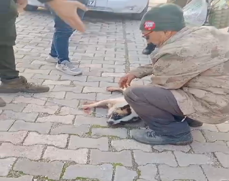 Balıkesir&rsquo;de k&ouml;peği motosiklete bağlayıp s&uuml;r&uuml;kleyen kişiye para cezası ve adli soruşturma
