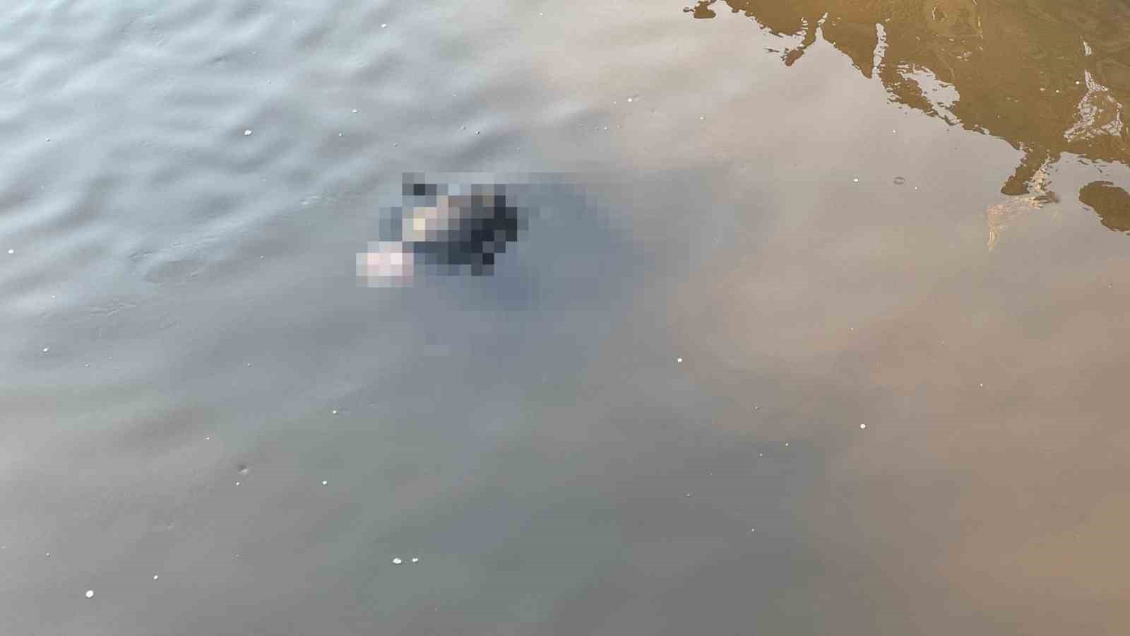 Yeşilırmak’ta bulunan cesedin kimliği belirlendi