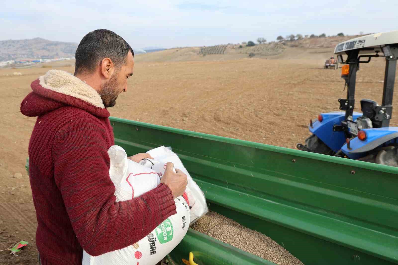 Adana’da buğday taneleri toprakla buluştu