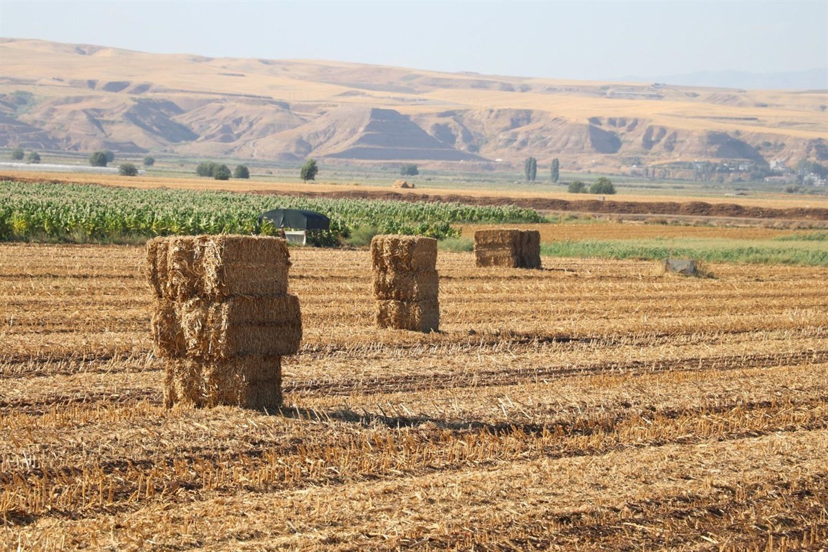 Batman’da anız yakanlara 22 milyonluk ceza