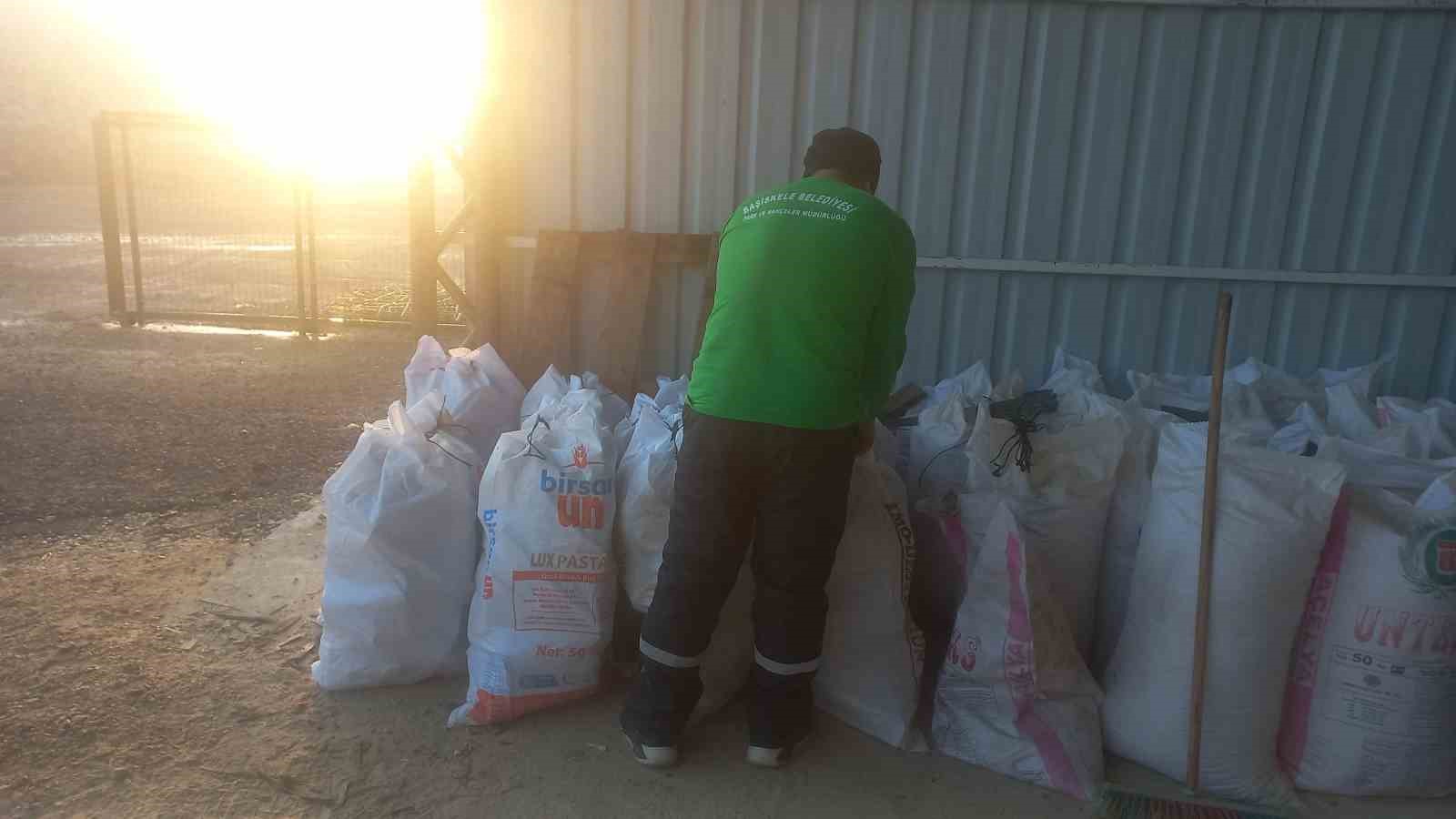 Budanan ağaçlar, dar gelirli ailelere yakacak oluyor
