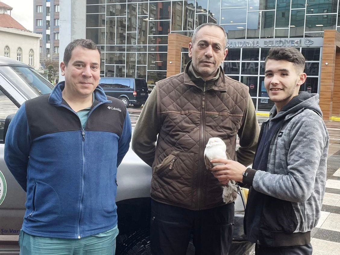 Yaralı Pe&ccedil;eli baykuş sağlığına kavuştu
