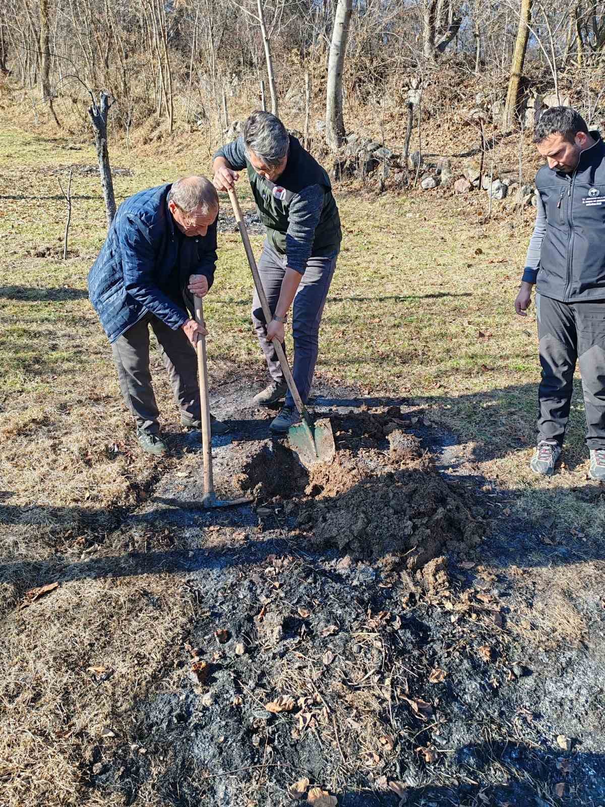 Posof Elması, Posoflu kadınlarla yaygınlaşacak
