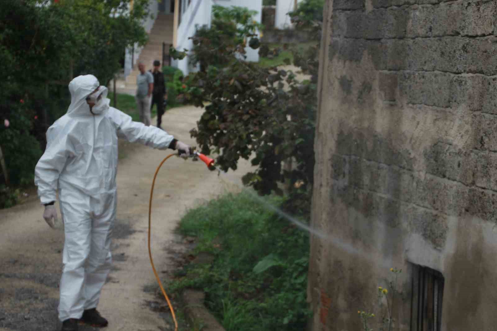 Ordu’da kahverengi kokarcaya karşı 70 binden fazla kışlak ilaçlandı