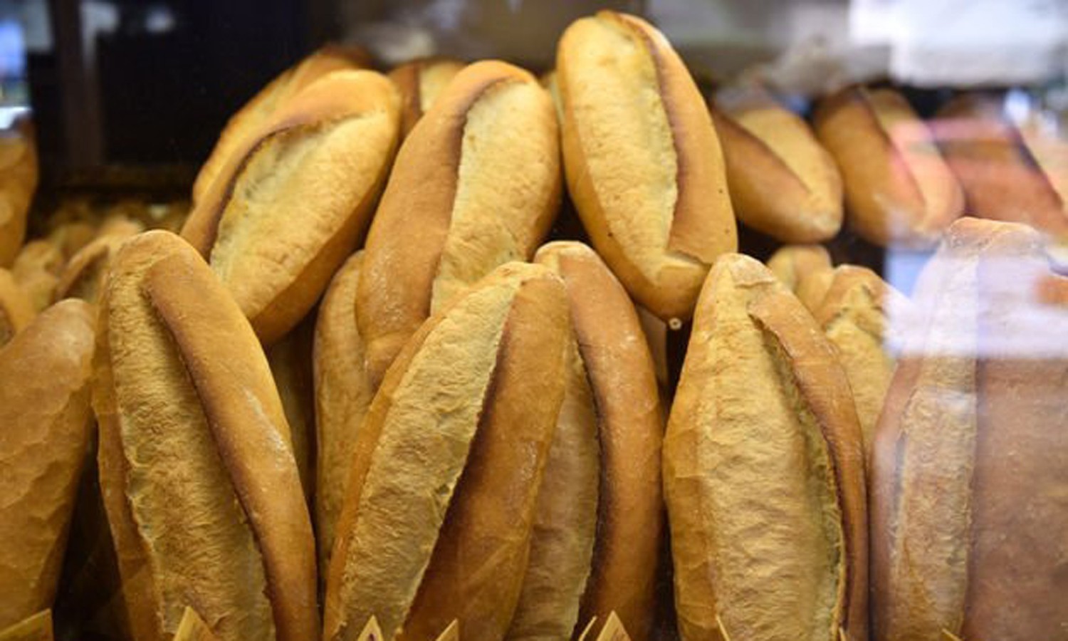 Tercan’da ekmeğe zam