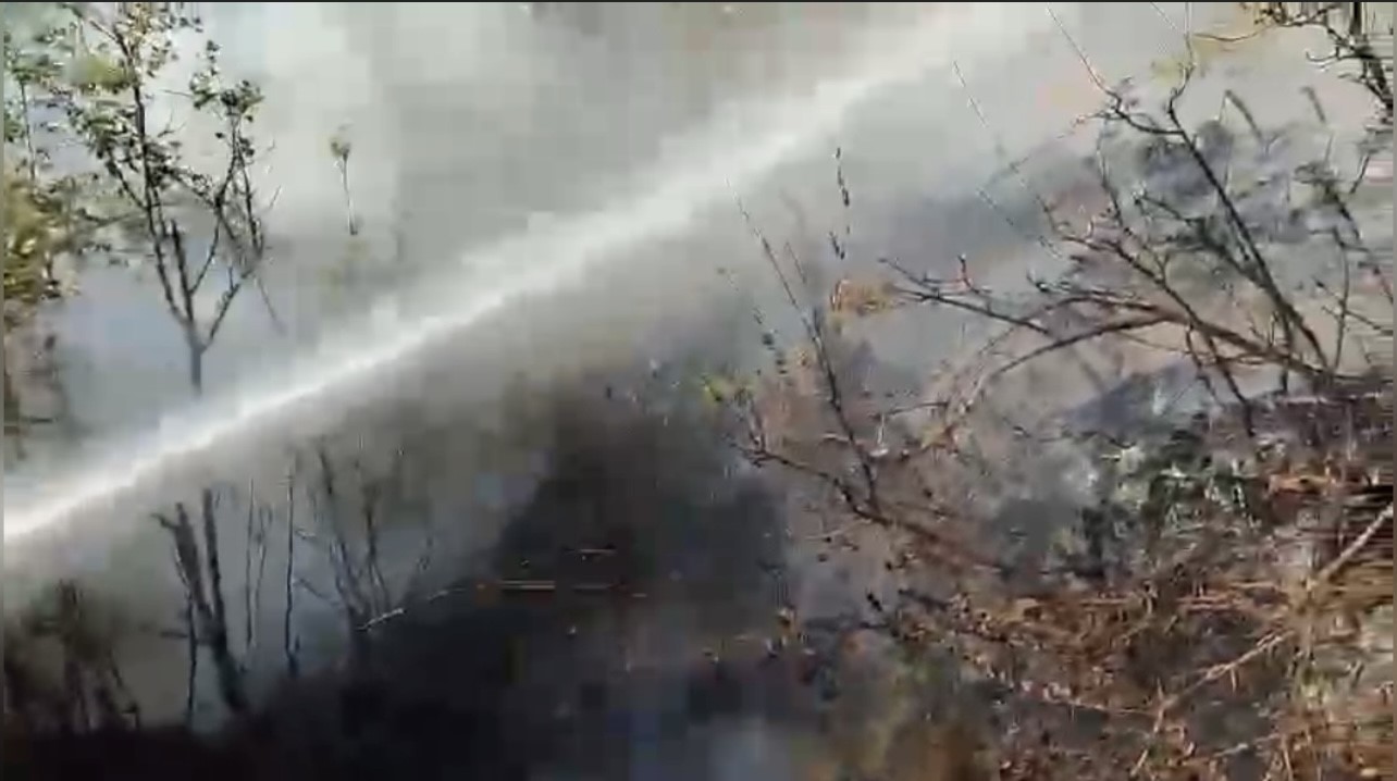 Osmaniye’de çıkan orman yangını söndürüldü