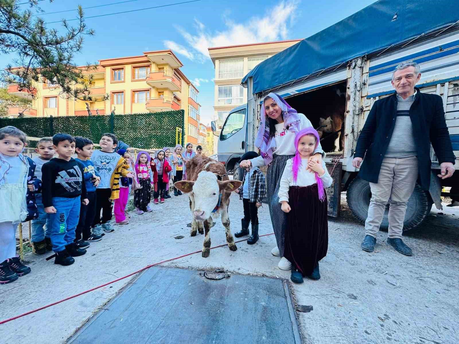 Yerli Haftası’nı okula getirdikleri ‘inekle’ kutladılar