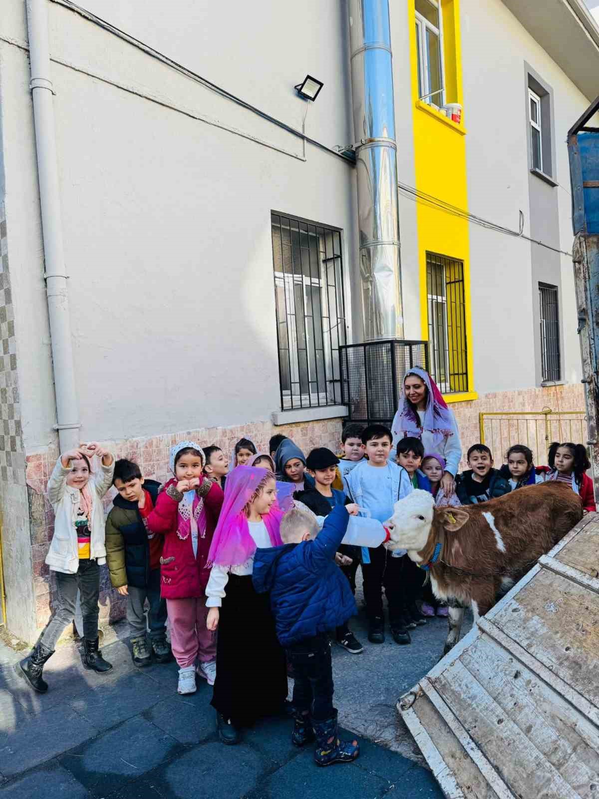 Yerli Haftası&rsquo;nı okula getirdikleri &lsquo;inekle&rsquo; kutladılar
