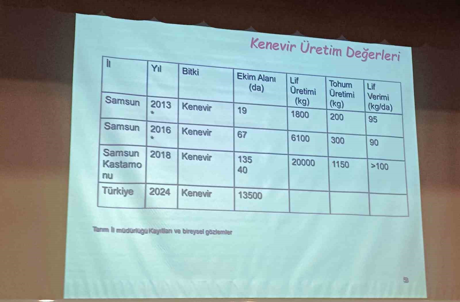 Bağımlılar, ’endüstriyel kenevir’ tarlalarına dadanmaktan vazgeçti
