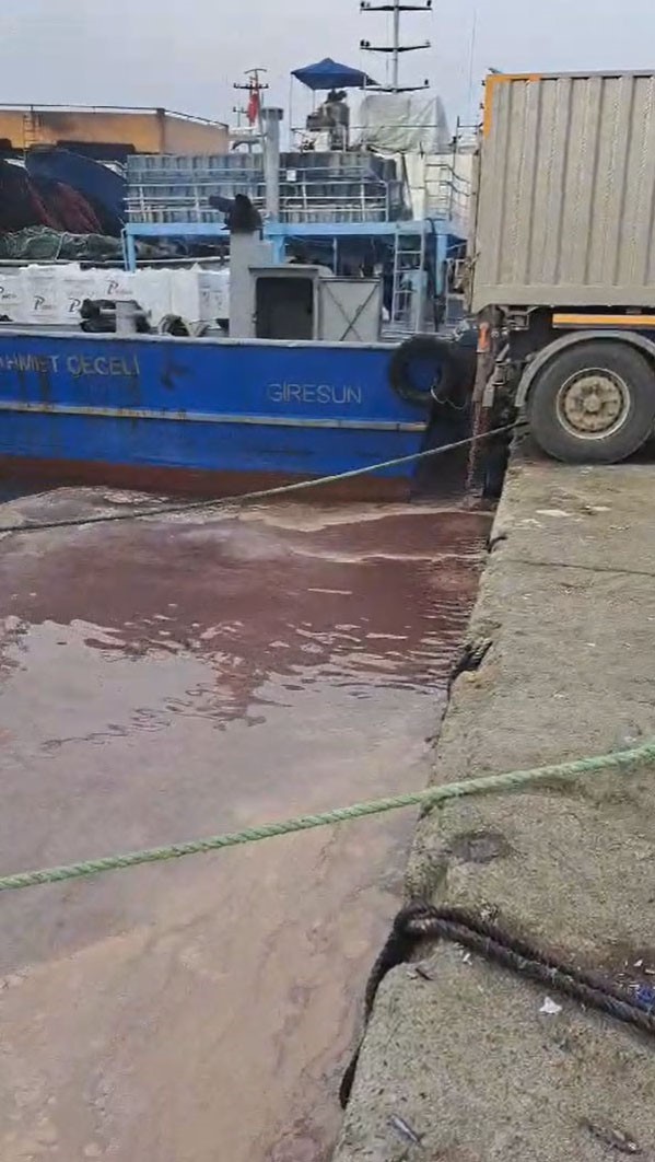 G&ouml;rele&rsquo;de limana atık su boşaltan kamyon s&uuml;r&uuml;c&uuml;s&uuml;ne işlem
