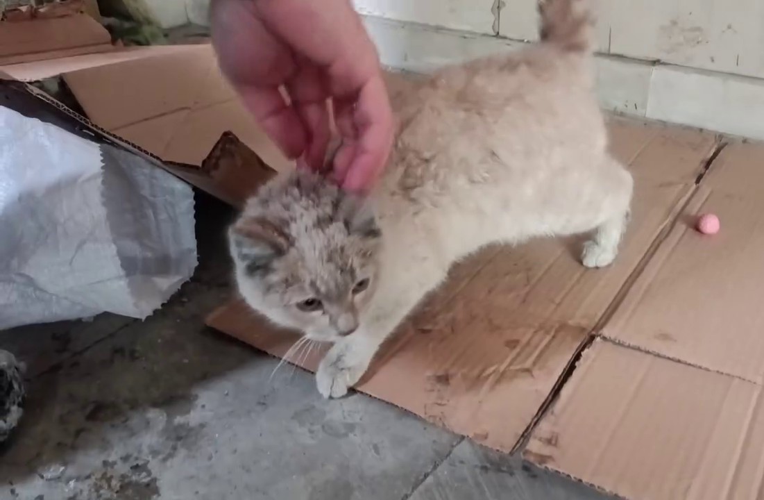 Erzurum polisinden y&uuml;rekleri ısıtan hareketler
