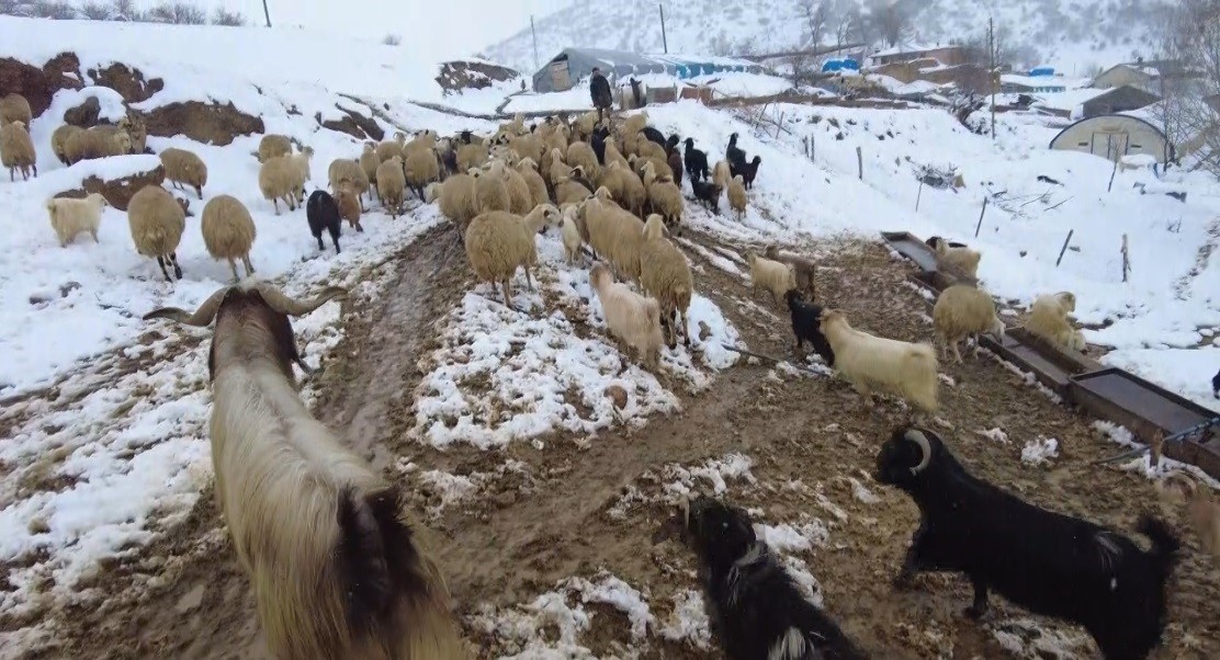 Erzincan’ın köylerinde kış mesaisi
