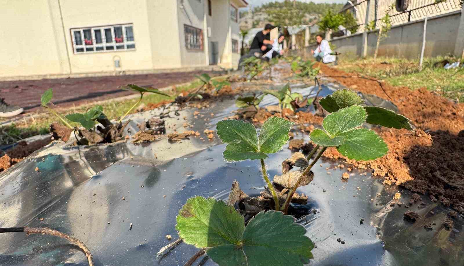 Mersin’de ’Hayalimdeki Bahçe’ etkinliği düzenlendi
