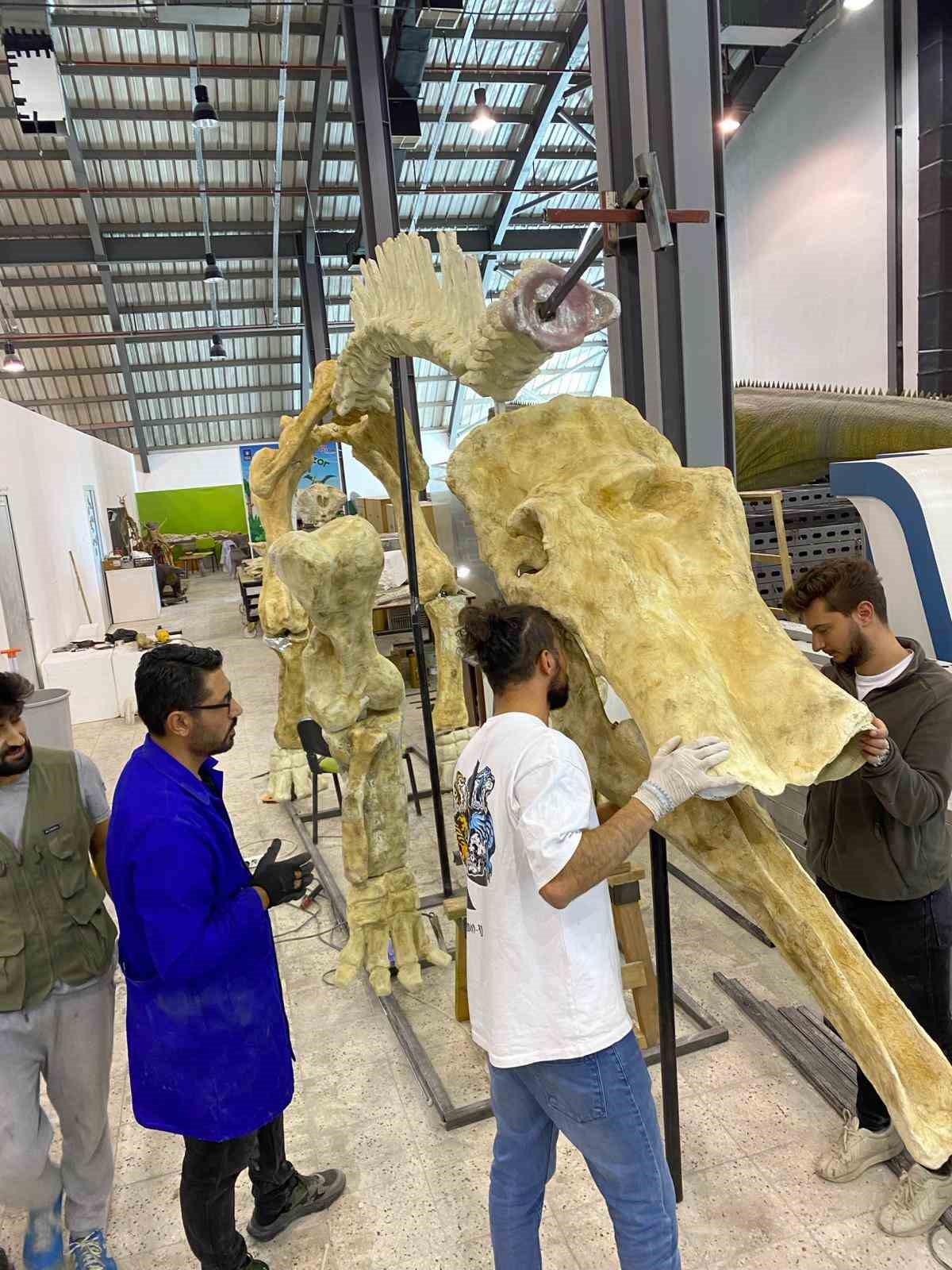 7,5 milyon yıllık fosil kazıları d&uuml;nya paleontoloji tarihine ışık tutuyor
