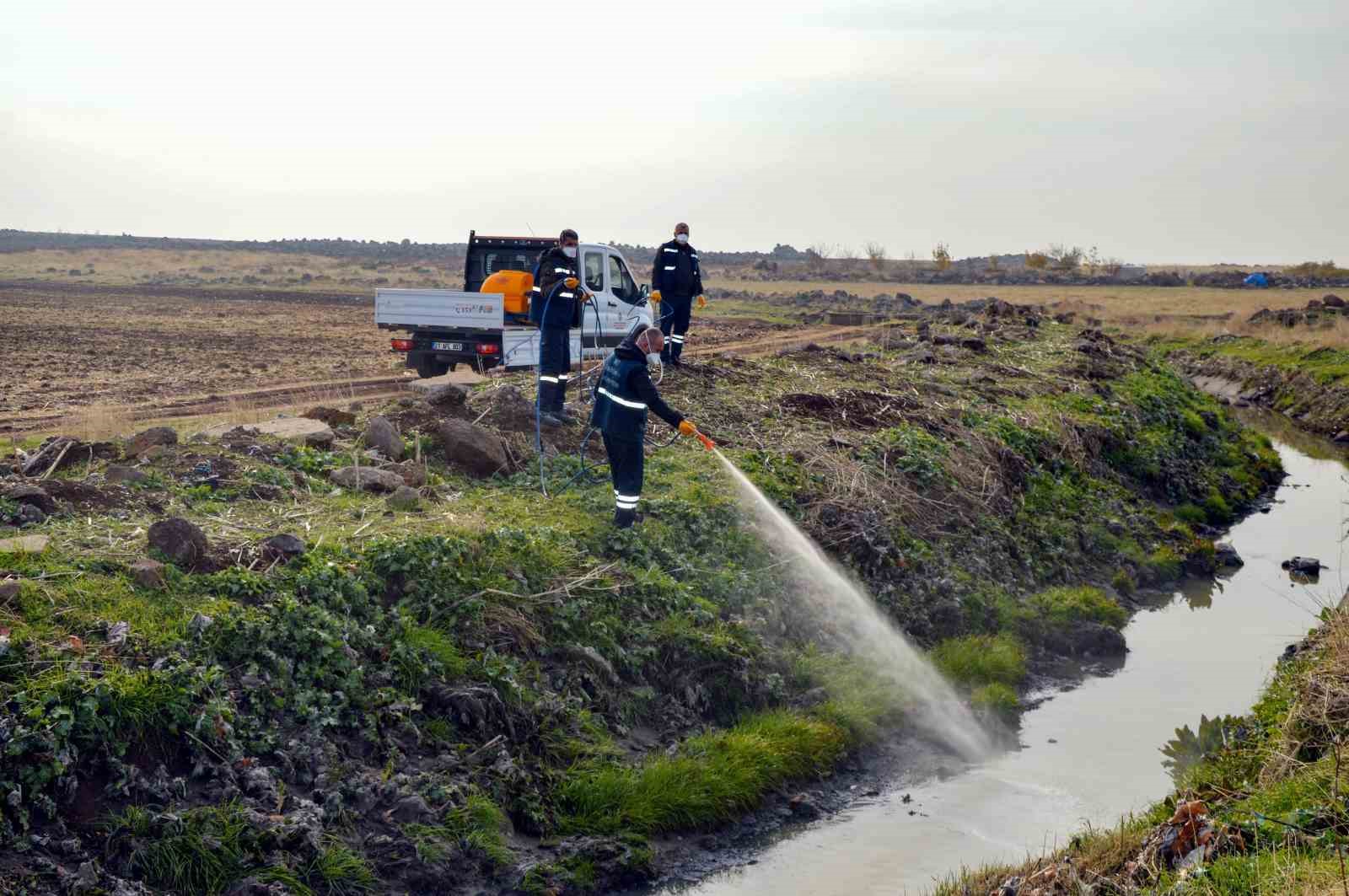 Haşerelere karşı kapsamlı kışlak &ccedil;alışması başlatıldı
