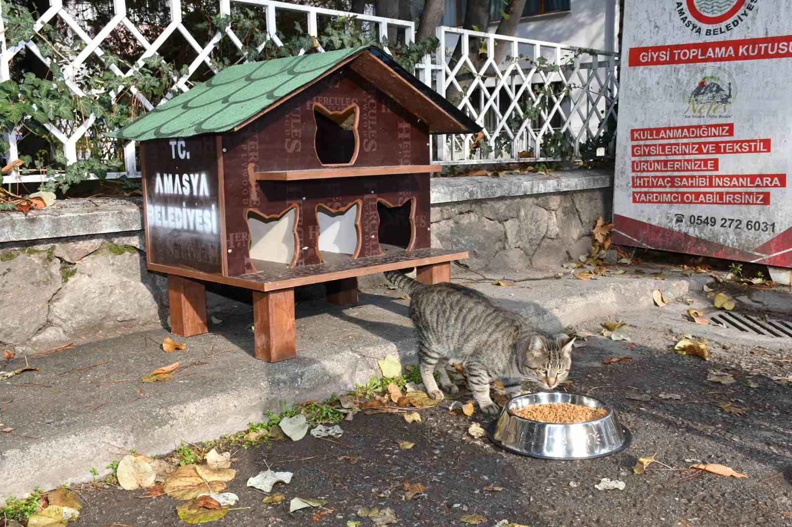 Başkan Sevindi: &ldquo;Can dostlarımız i&ccedil;in b&uuml;t&uuml;n imkanları seferber edeceğiz&rdquo;
