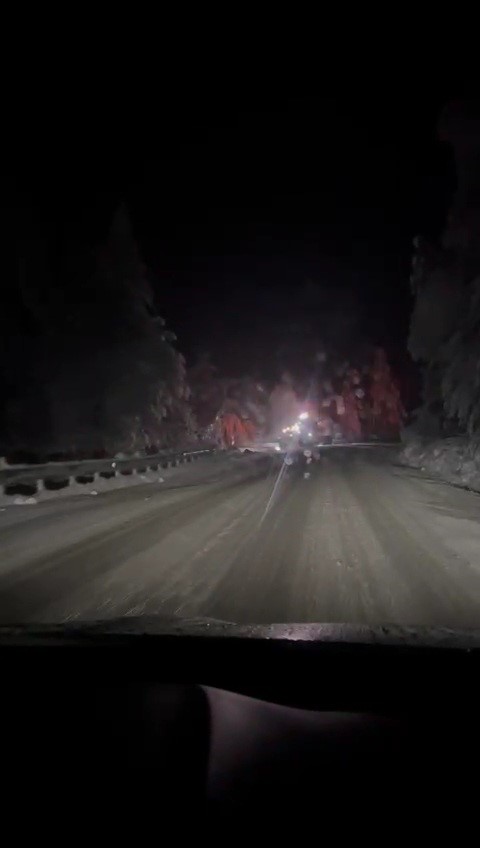 Kar nedeniyle ağaçlar devrildi, karayolunda ulaşım aksadı
