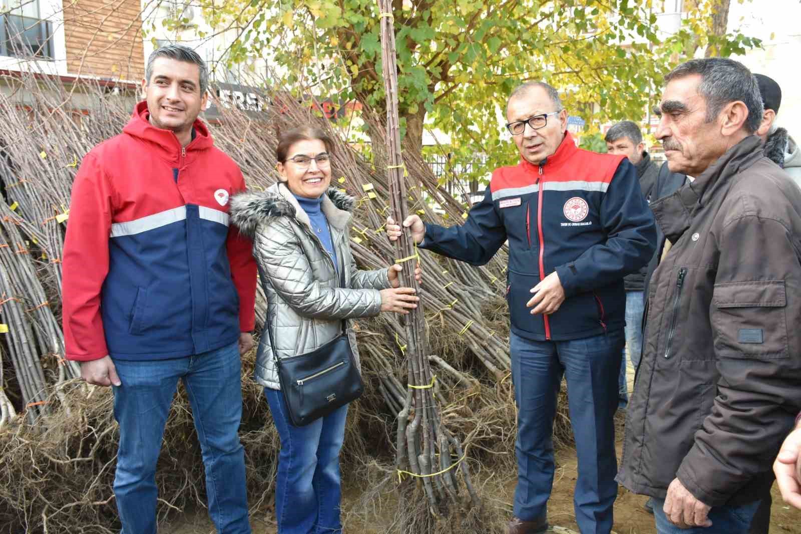 Aydın’da üreticilere fidan desteği
