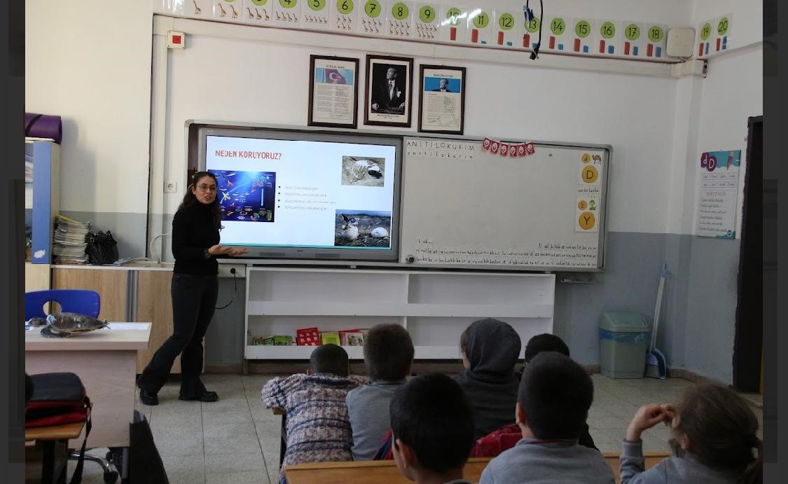 Çocuklar deniz canlılarını öğreniyor
