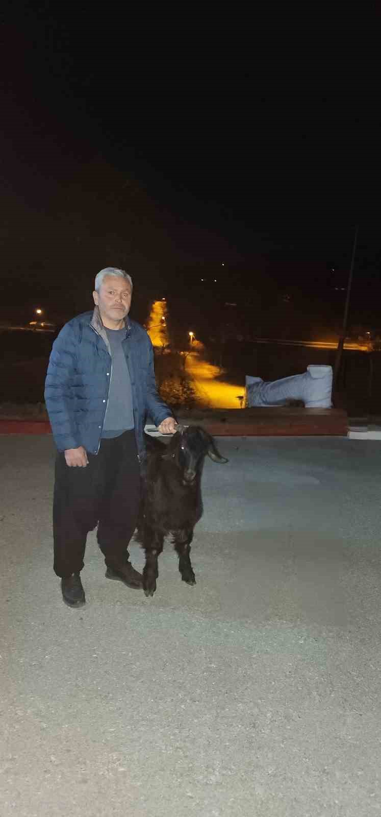 Hayvan hırsızları hayvanlarla birlikte yakalandı
