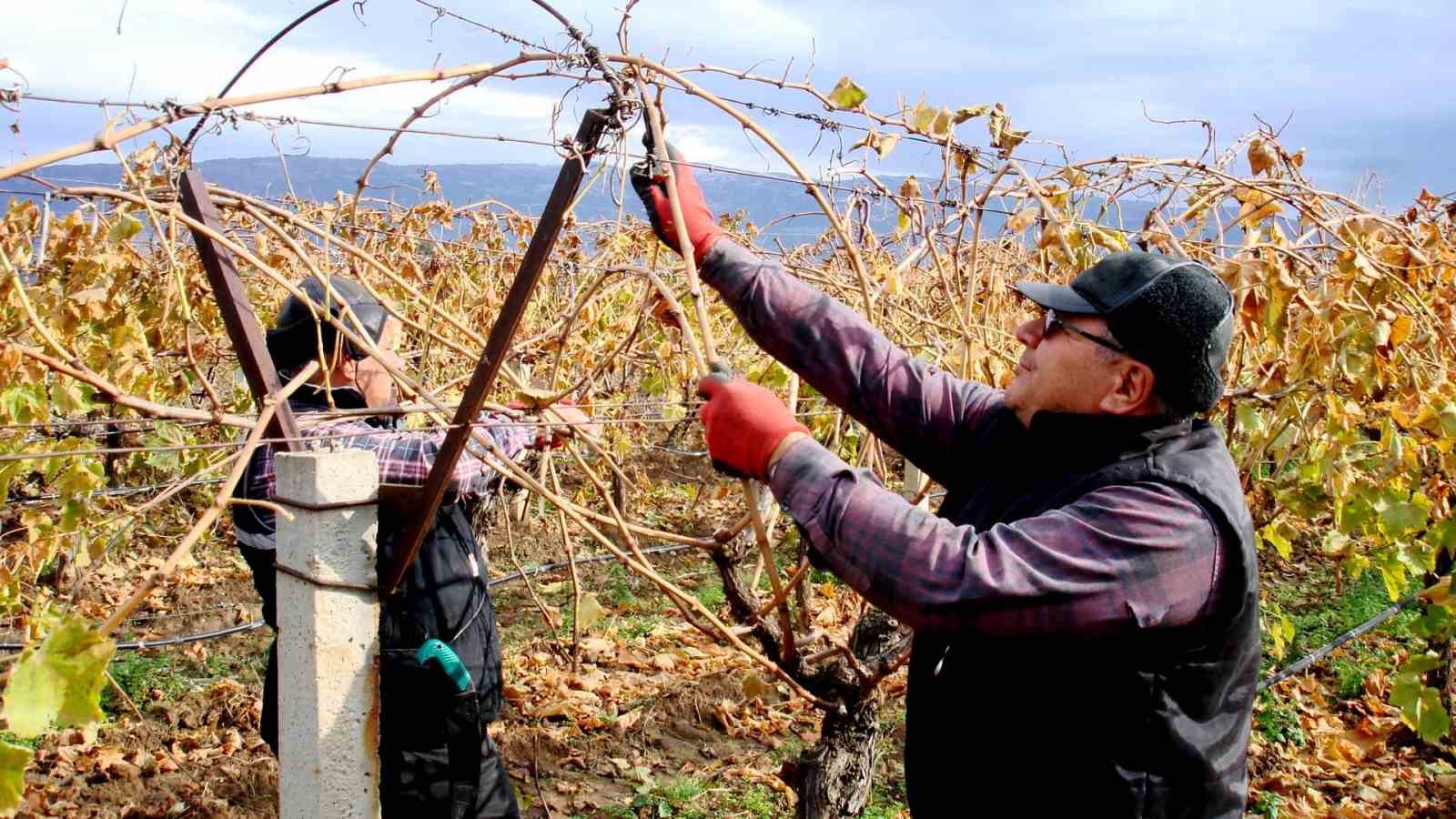 Sarıg&ouml;l Ovasında d&ouml;rt mevsim &ccedil;alışmalar s&uuml;r&uuml;yor
