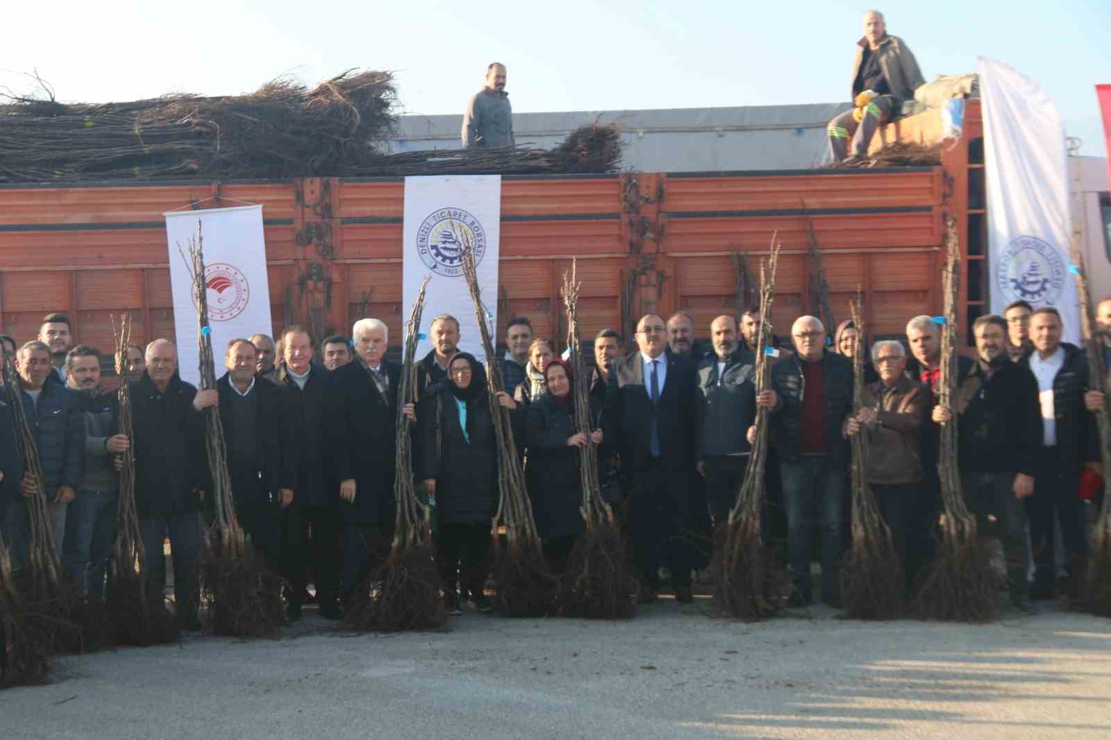 Denizli’de 40 bin ceviz fidanı üreticiyle buluşturulacak