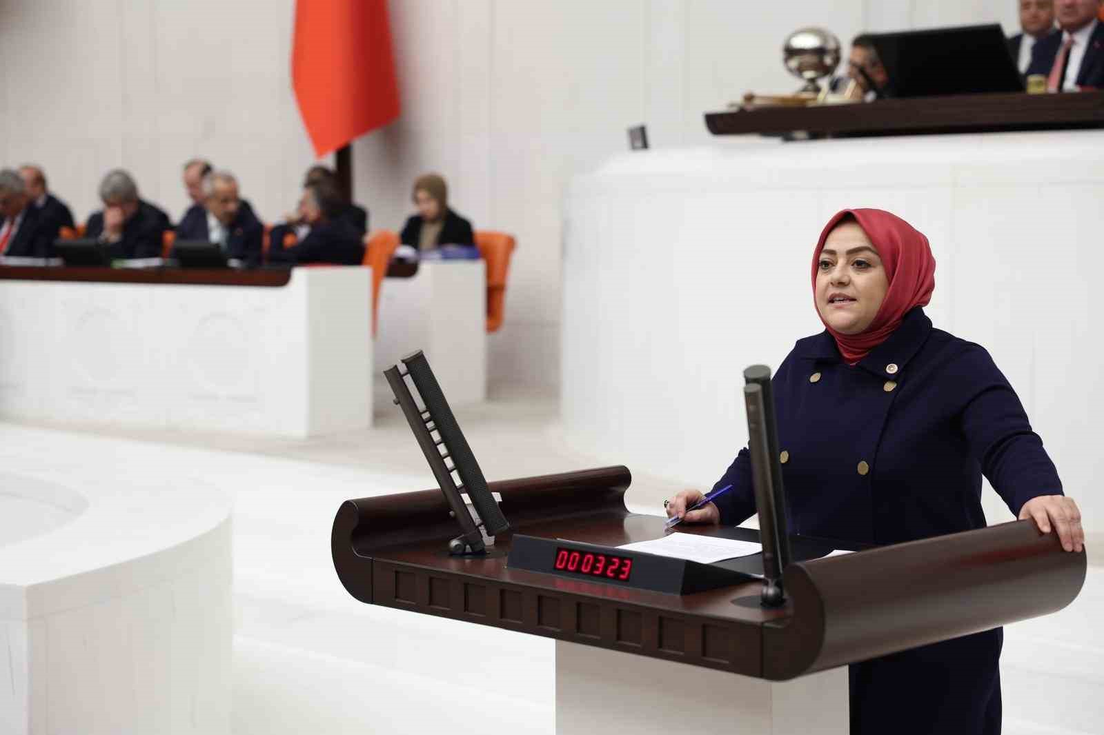 Milletvekili &Uuml;n, Denizli ihracat&ccedil;ısının lojistik sorununu Meclise taşıdı
