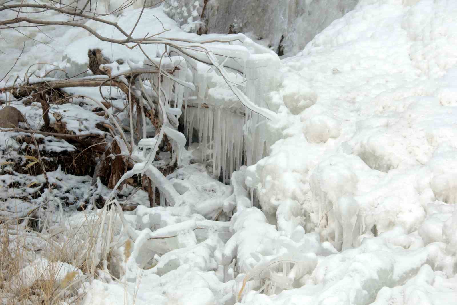 Sibirya soğukları Erzincan&rsquo;ı dondurdu
