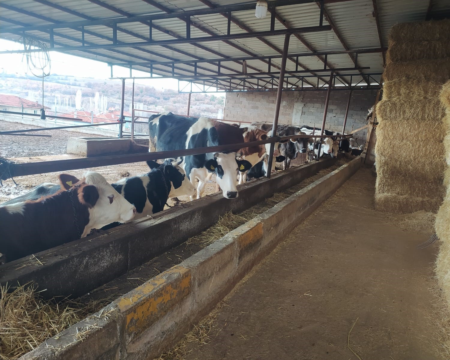 Uşak İl Tarım ve Orman M&uuml;d&uuml;r&uuml; Serkan Bilir &ccedil;ift&ccedil;ileri ziyaret etti
