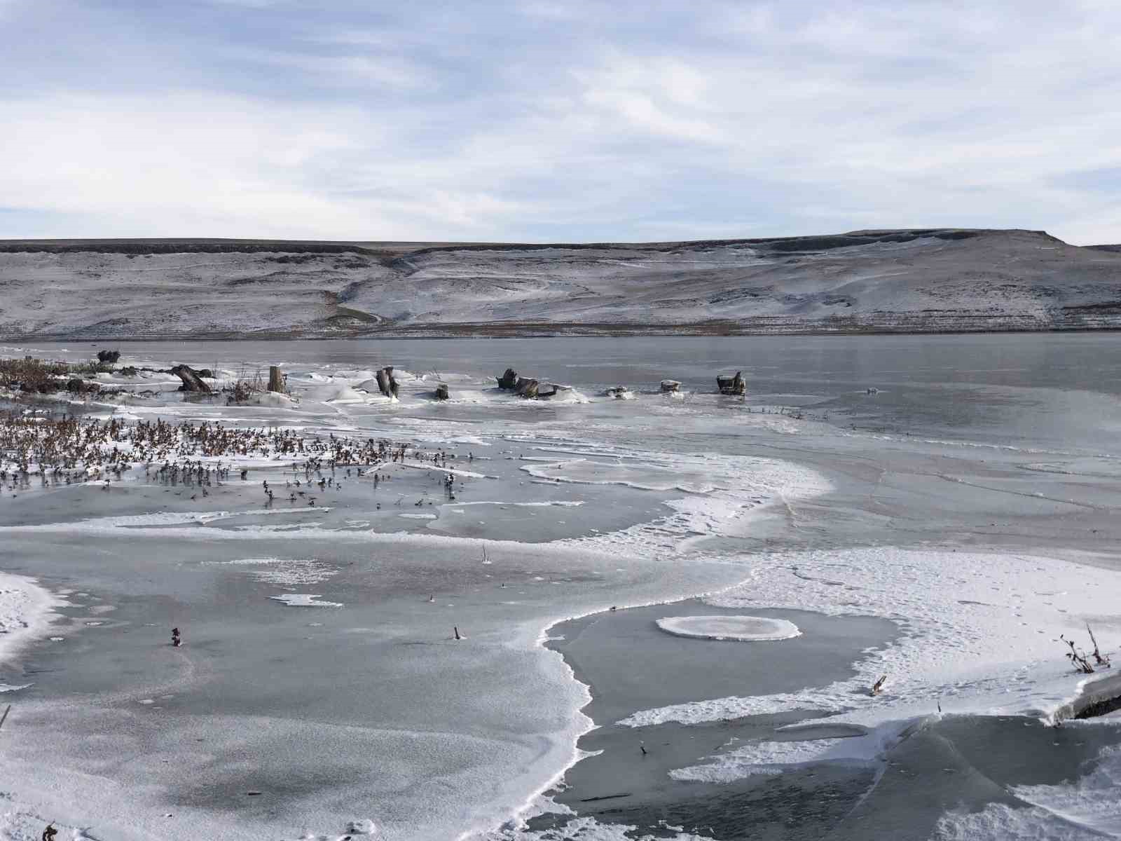 Burası Antarktika değil Kars
