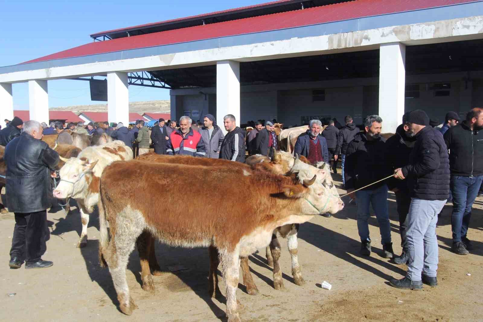 Bayburt’taki hayvan pazarlarında şap karantinası
