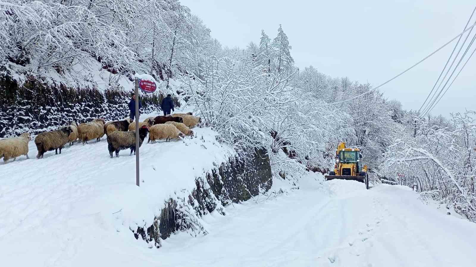 Doğu Karadeniz’de kış