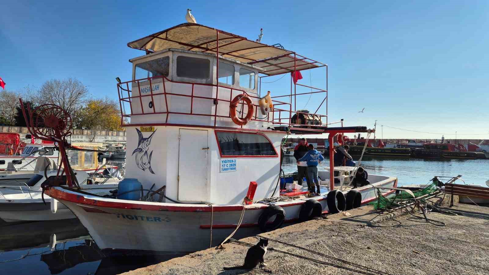 Marmara&rsquo;da balık&ccedil;ılar farklı balık t&uuml;r&uuml; ile d&ouml;n&uuml;yor

