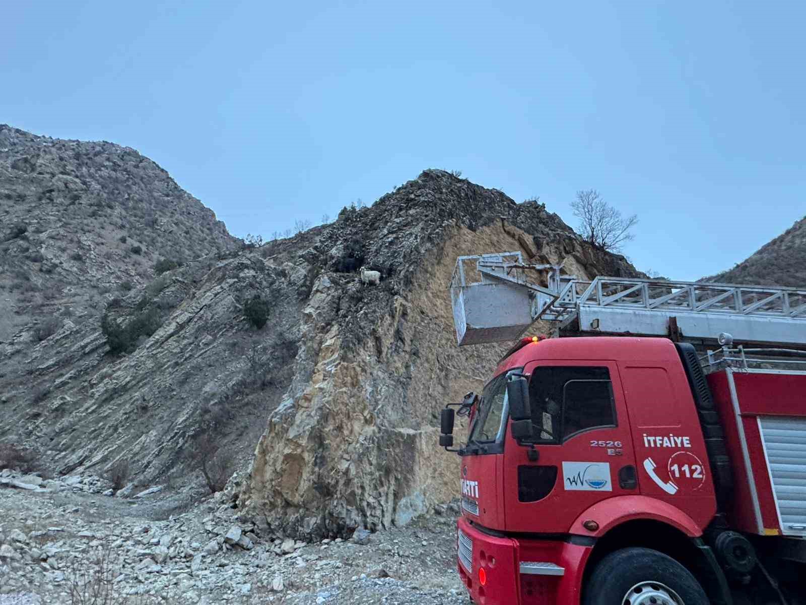 Kayalıklarda mahsur kalan 4 ke&ccedil;iyi itfaiye kurtardı
